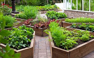 Мини-огороды, где жители могут выращивать цветы и зелень