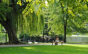 Чистый воздух