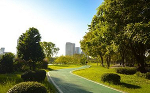 Ландшафтный парк на 20 гектаров