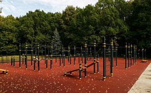 Воркаут зона с тренажерами под открытым небом
