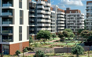 Комплексное озеленение